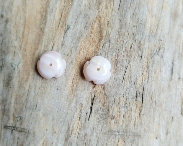 Trandafirasi sidef roz, semigauriti (2 buc)