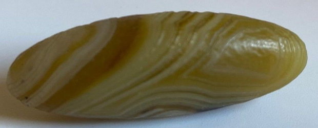 Agat Gobi (Alxa, Alashan) - Specimen piatra semipretioasa