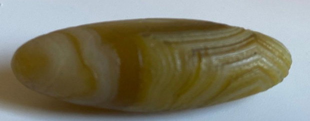 Agat Gobi (Alxa, Alashan) - Specimen piatra semipretioasa