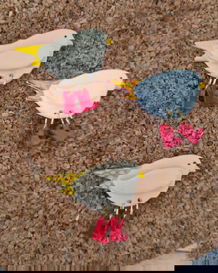 Brosa vrabiuta cu ghete