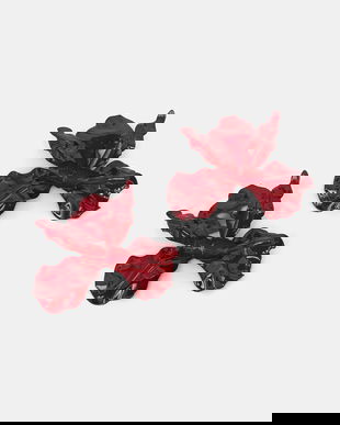 Aldo cercei pentru femei, din metal PARADISIA