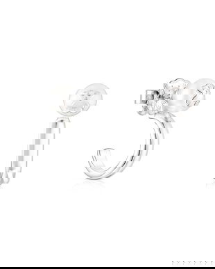 Tous cercei de argint