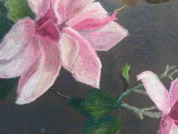 Magnolia - Lucrare înrămată. Soft Pastels