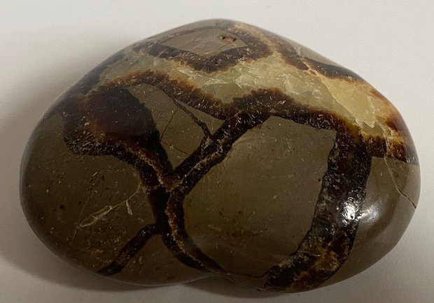 Septaria - Inima piatra semipretioasa