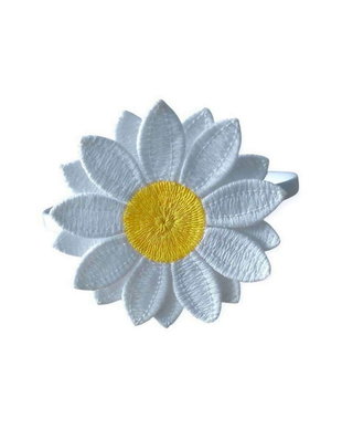 Cordeluta cu Margareta Alba Delicata