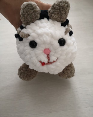 Pisica loaf cat
