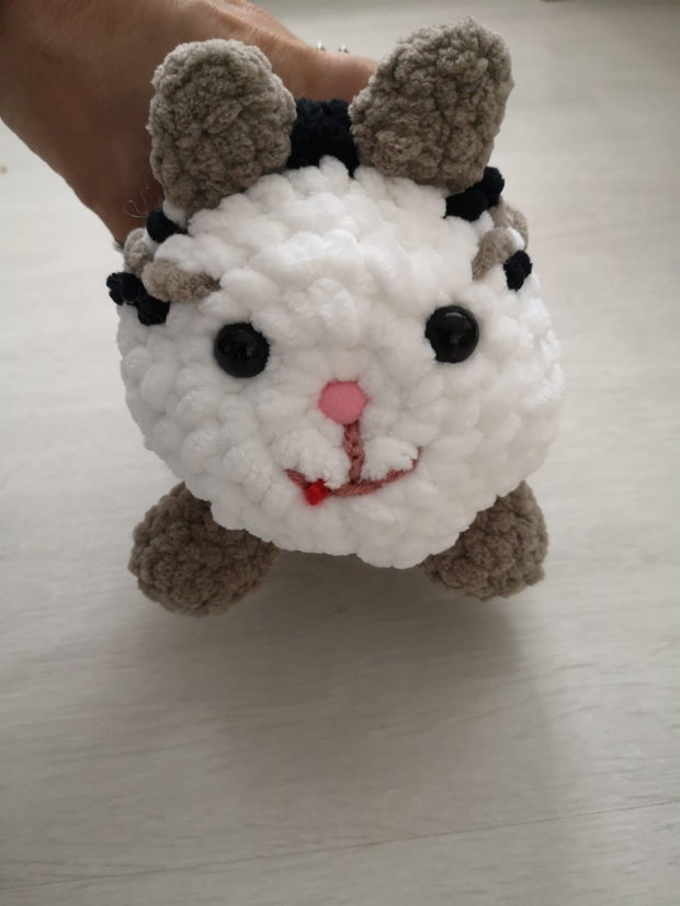 Pisica loaf cat