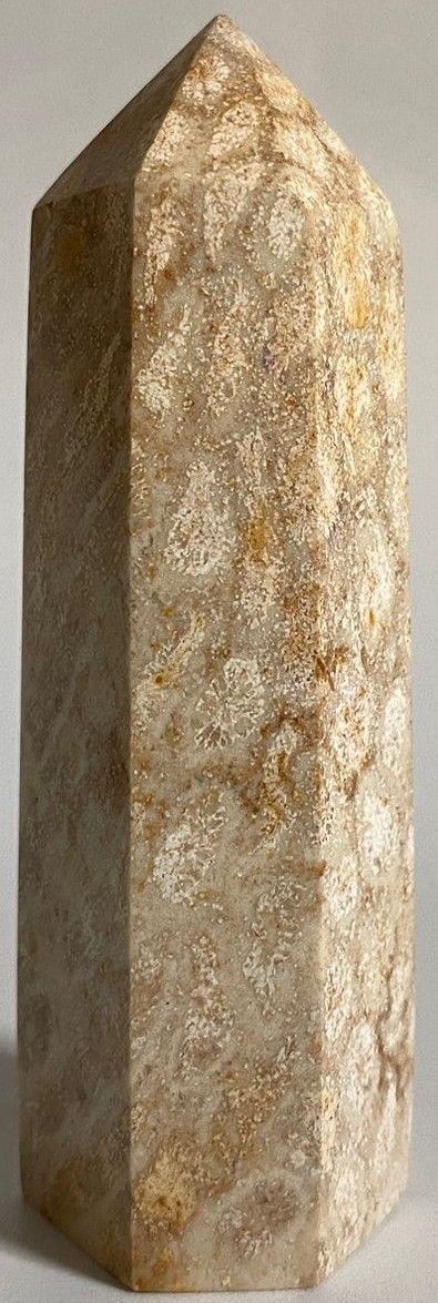 Coral Fosilizat - Obelisc piatra semipretioasa