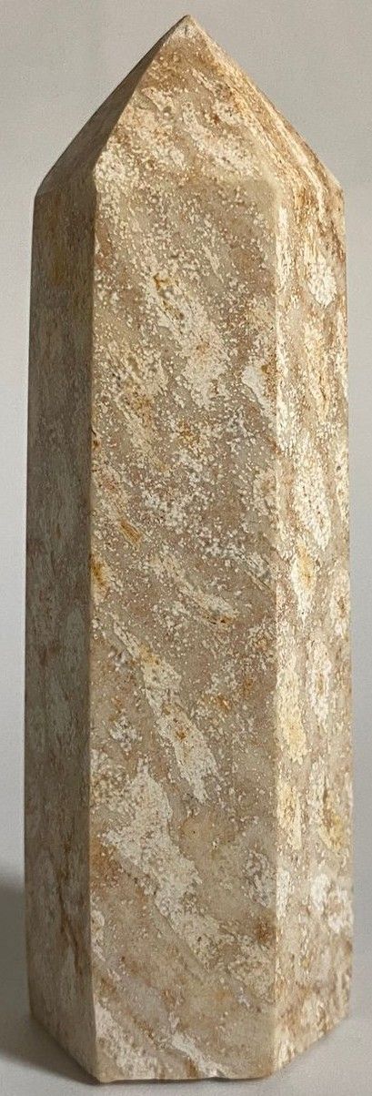 Coral Fosilizat - Obelisc piatra semipretioasa