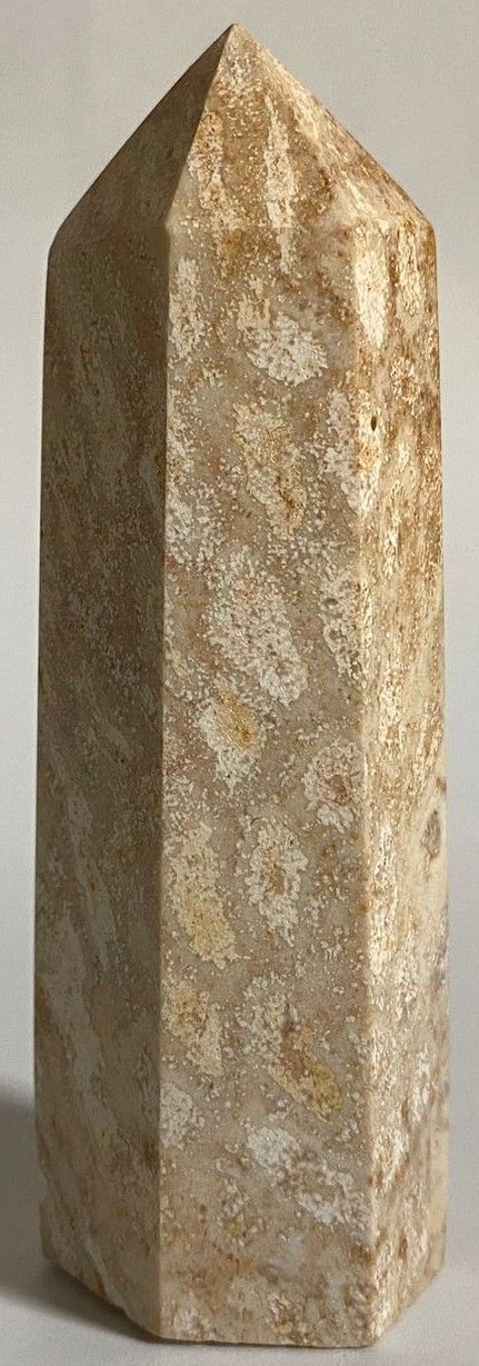 Coral Fosilizat - Obelisc piatra semipretioasa