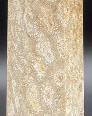 Coral Fosilizat - Obelisc piatra semipretioasa