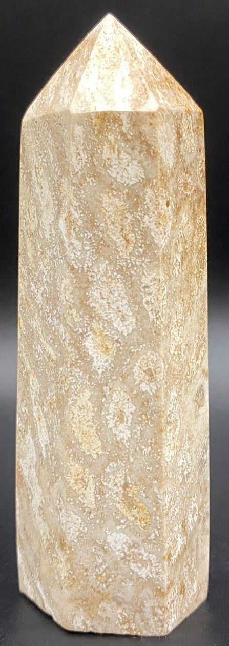 Coral Fosilizat - Obelisc piatra semipretioasa