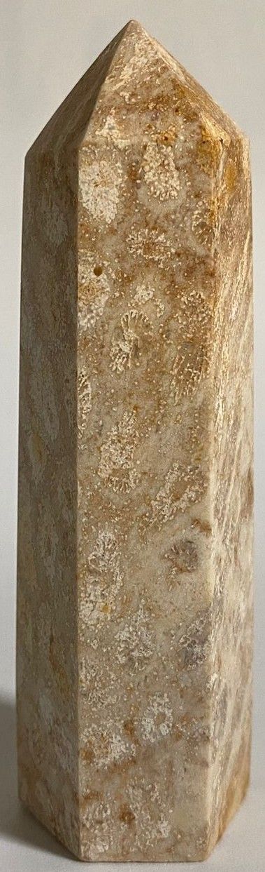 Coral Fosilizat - Obelisc piatra semipretioasa