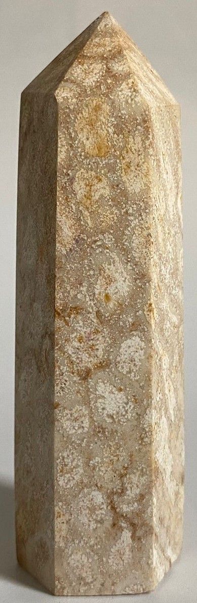 Coral Fosilizat - Obelisc piatra semipretioasa