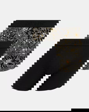 Levi's boxeri din bumbac cu elastan, pachet de 2