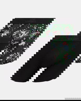 Levi's boxeri pentru bărbați, din bumbac cu elastan, pachet de 2