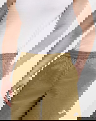 The North Face pantaloni scurți sport bărbătești Class V Pathfinder