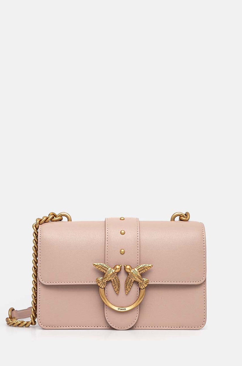 Pinko poseta de piele