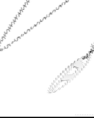 Diesel colier cu pandantiv pentru bărbați, din oțel chirurgical