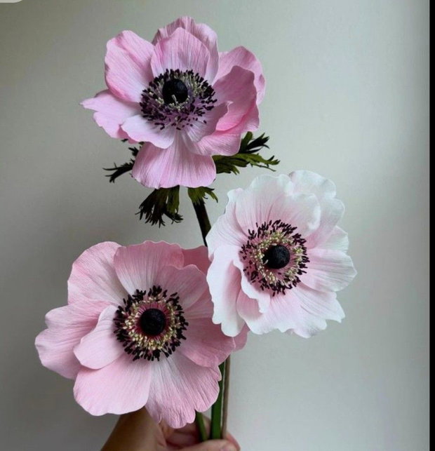 Buchete flori