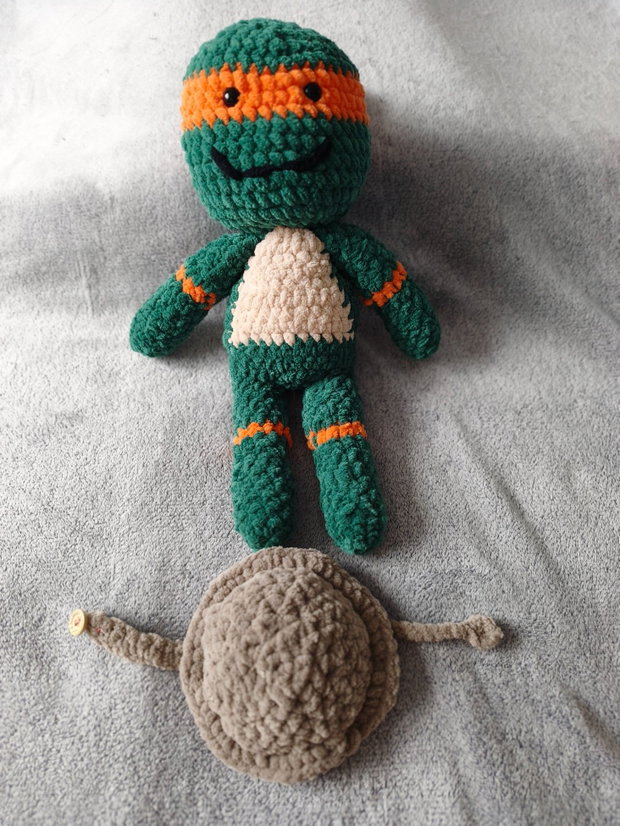 Testoasa ninja