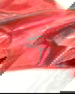 Nou voal organza rosu metalizat