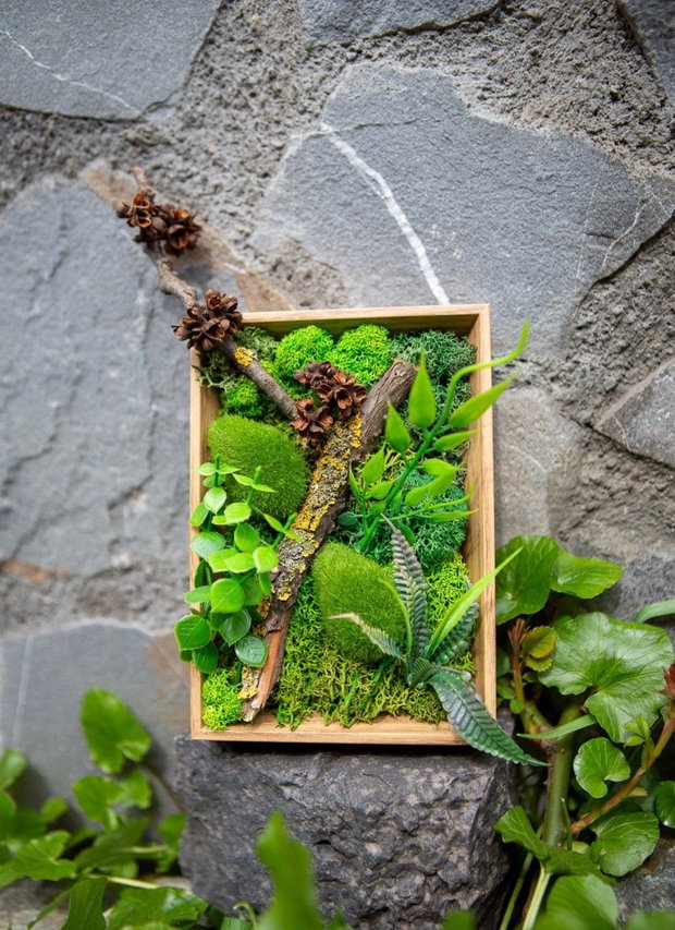 Decor verde 3D pentru birou cu licheni stabilizati si plante artificiale