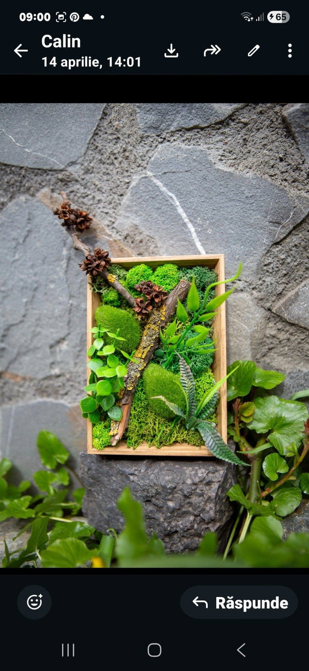 Decor verde 3D pentru birou cu licheni stabilizati si plante artificiale