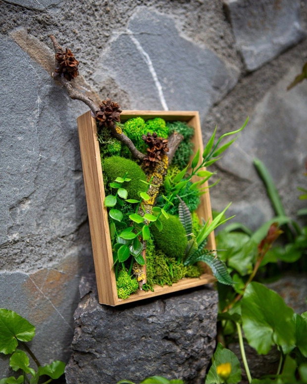 Decor verde 3D pentru birou cu licheni stabilizati si plante artificiale