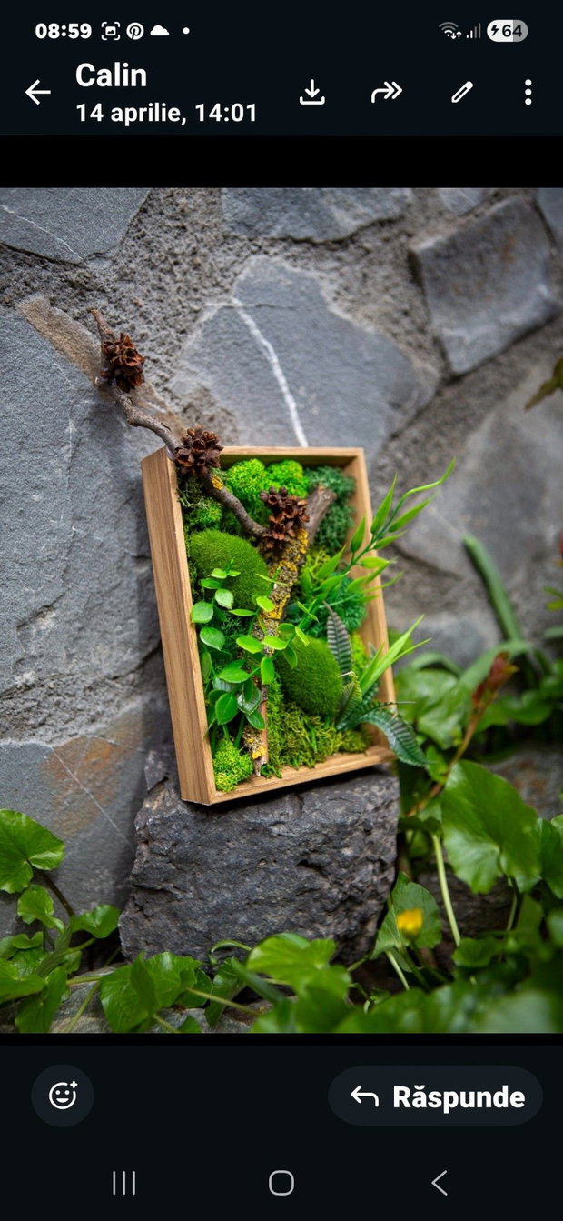 Decor verde 3D pentru birou cu licheni stabilizati si plante artificiale