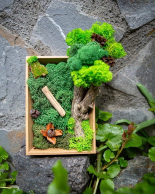 Decor verde birou cu licheni stabilizati si elemente din natura.