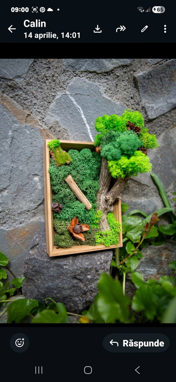 Decor verde birou cu licheni stabilizati si elemente din natura.