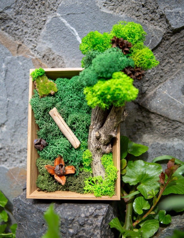 Decor verde birou cu licheni stabilizati si elemente din natura.