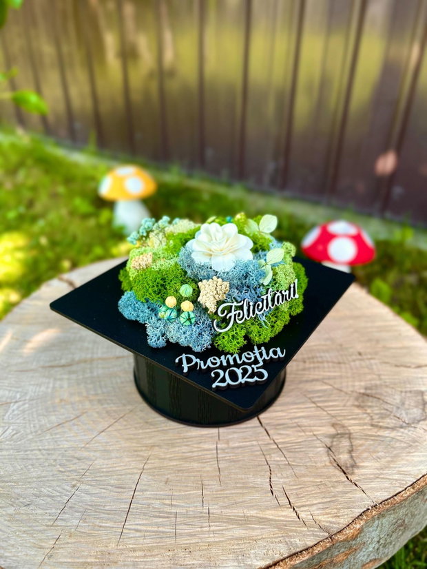 Tocă absolvire cu licheni personalizată, cadou final de an școlar, decor absolvire elevi / profesori