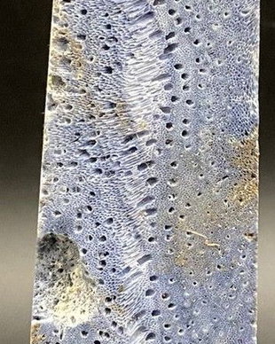 Coral Albastru - Obelisc piatra semipretioasa