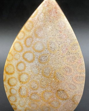 Coral Fosilizat - Sculptura piatra semipretioasa