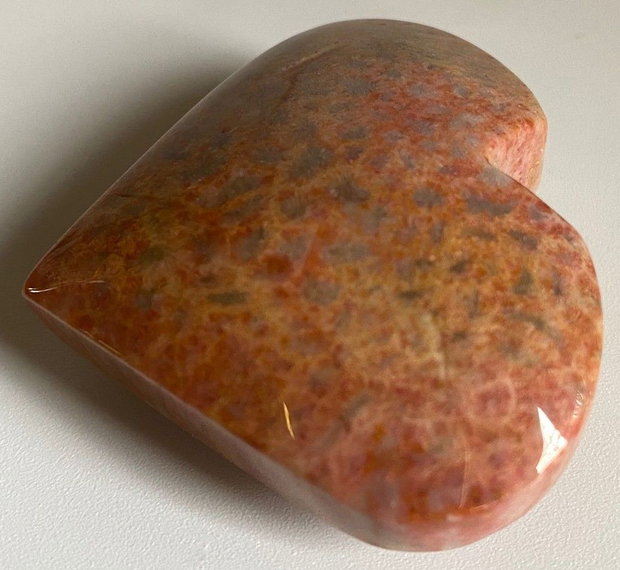 Coral Fosilizat - Inima piatra semipretioasa