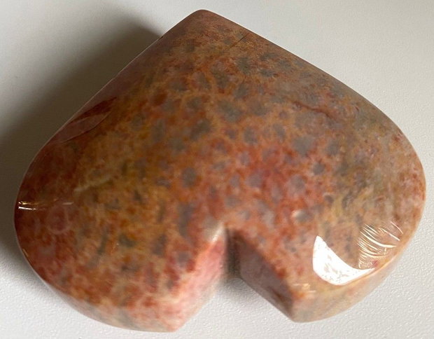 Coral Fosilizat - Inima piatra semipretioasa