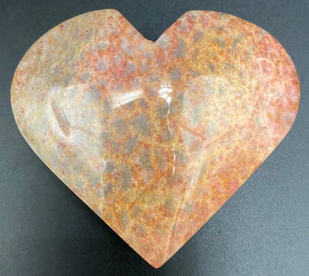 Coral Fosilizat - Inima piatra semipretioasa
