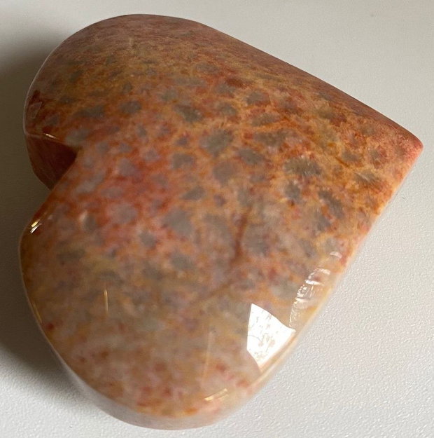 Coral Fosilizat - Inima piatra semipretioasa