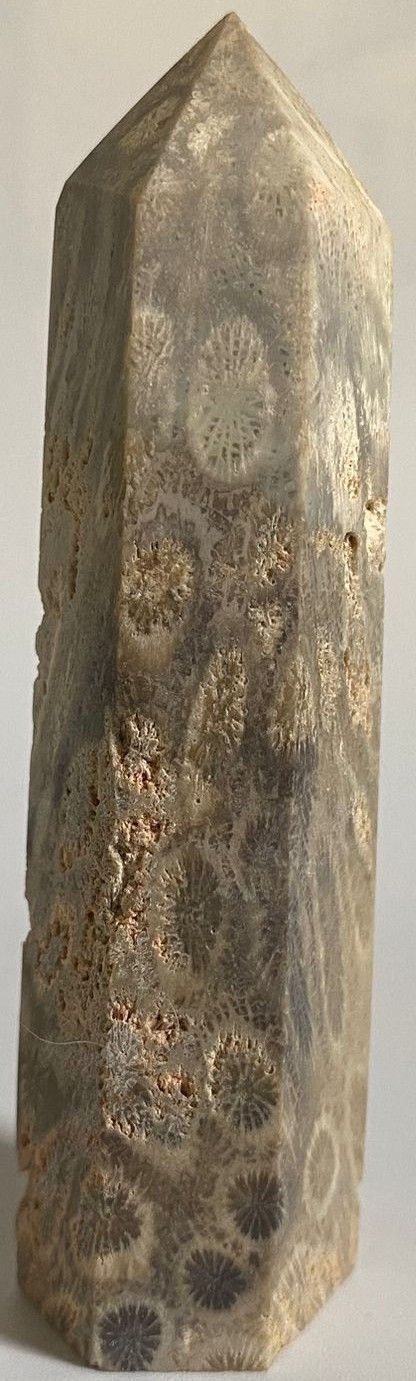 Coral Fosilizat - Obelisc piatra semipretioasa