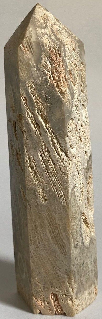 Coral Fosilizat - Obelisc piatra semipretioasa