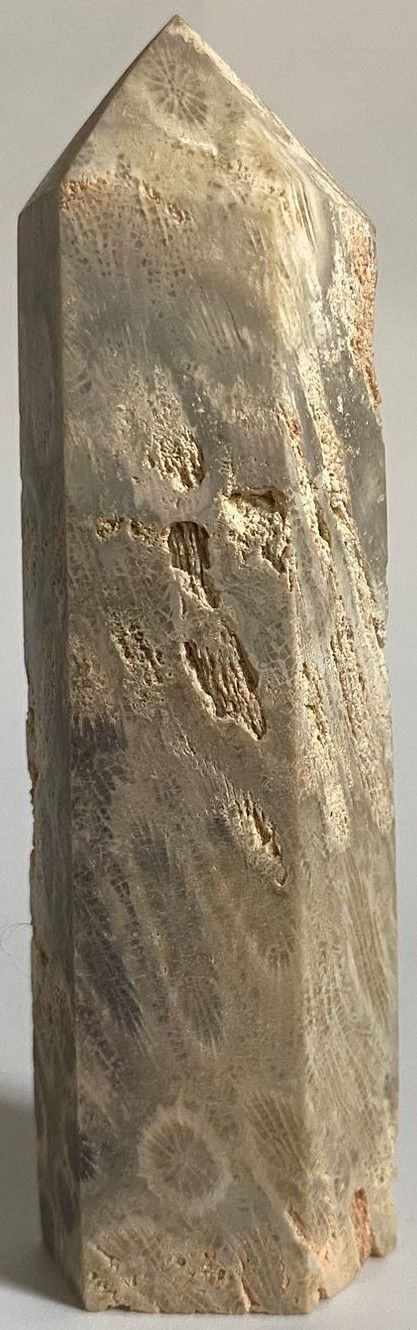 Coral Fosilizat - Obelisc piatra semipretioasa