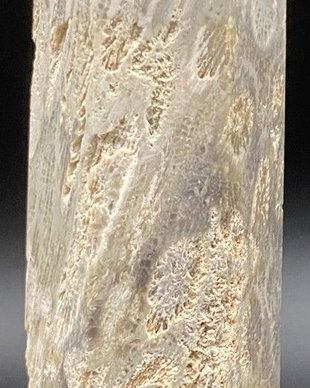 Coral Fosilizat - Obelisc piatra semipretioasa