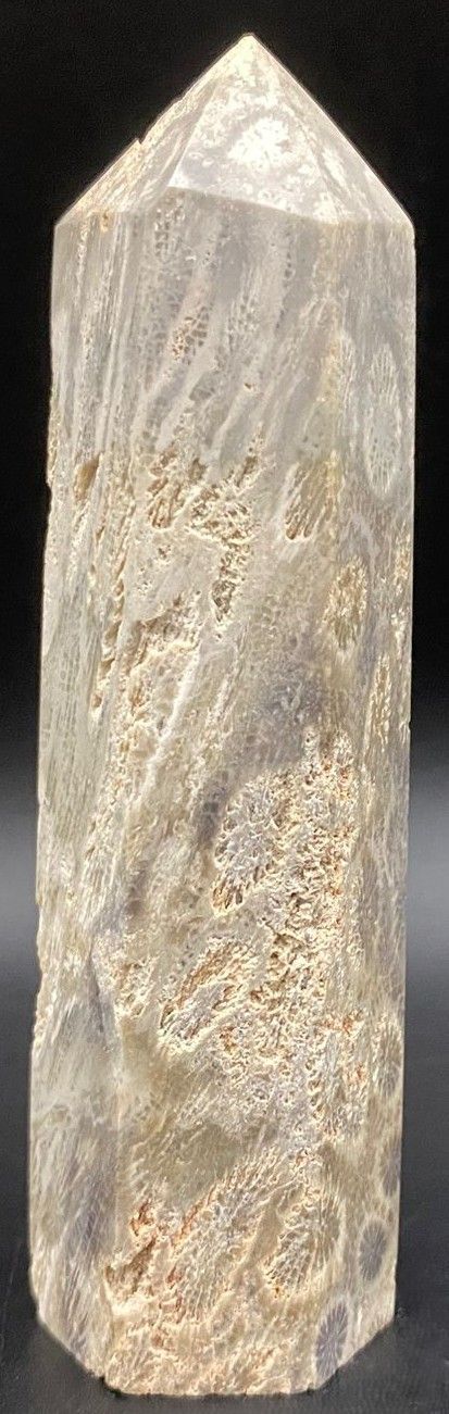 Coral Fosilizat - Obelisc piatra semipretioasa