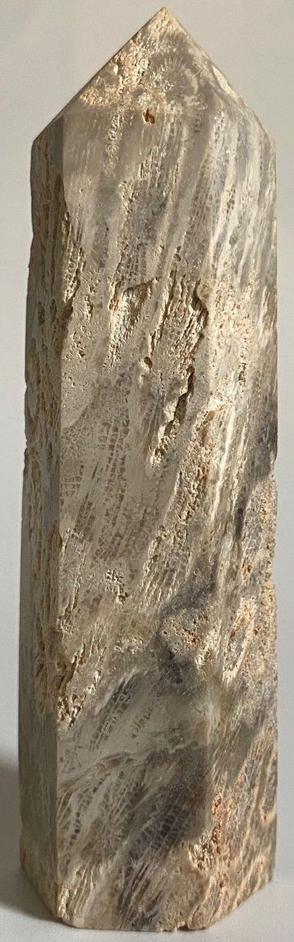 Coral Fosilizat - Obelisc piatra semipretioasa