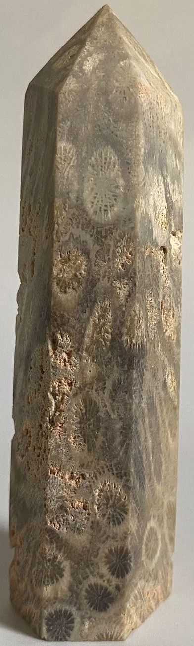 Coral Fosilizat - Obelisc piatra semipretioasa