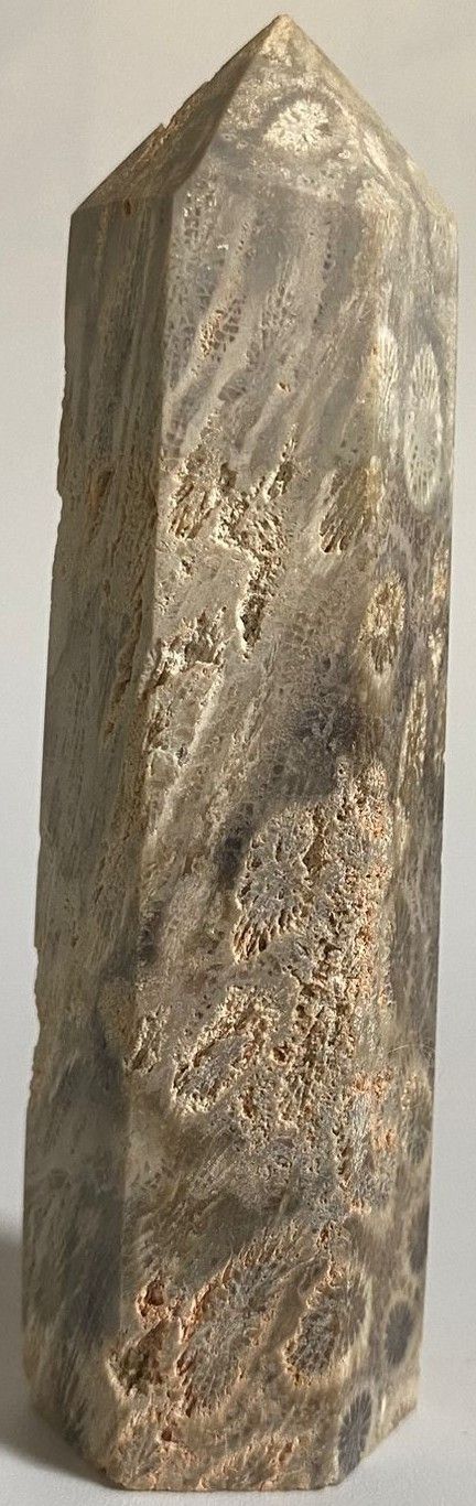 Coral Fosilizat - Obelisc piatra semipretioasa