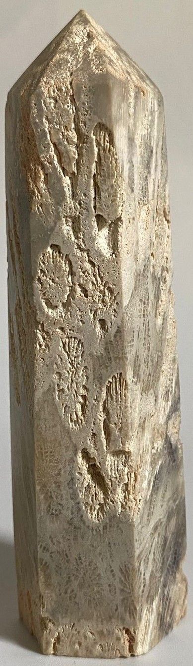 Coral Fosilizat - Obelisc piatra semipretioasa