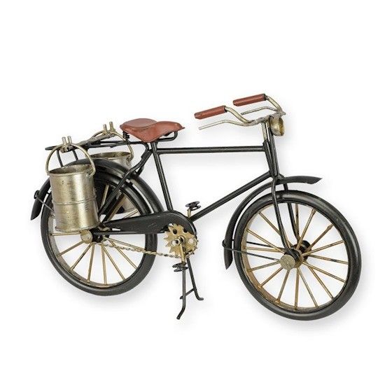 Model bicicleta neagra